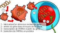 TH GENIQUE.jpg