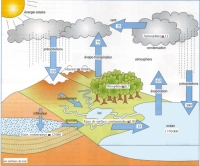 cycle eau + chiffres.jpg cycle eau + chiffres.jpg