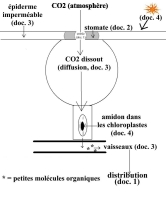 CO2.jpg CO2.jpg