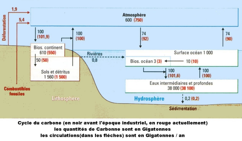 CARBONE-reservoirs.jpg