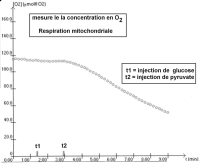 EXAO RESPIRATION MITOCHONDRIES.jpg EXAO RESPIRATION MITOCHONDRIES.jpg