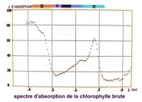 photosynthese SPECTRE ABSORPTION courbe.jpg photosynthese SPECTRE ABSORPTION courbe.jpg