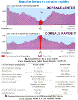 dorsales lentes-rapides.jpg dorsales lentes-rapides.jpg