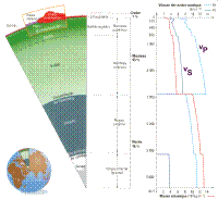 echographie+schema.jpg echographie+schema.jpg