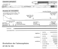 evolution de la vie sur terre.jpg evolution de la vie sur terre.jpg