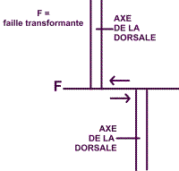 faille transformante schema.jpg faille transformante schema.jpg