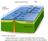 faille transformante.jpg faille transformante.jpg