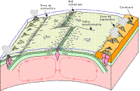plaques+cellules.jpg plaques+cellules.jpg