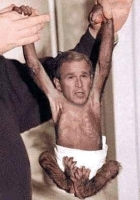 Clonage_rate.jpg Clonage_rate.jpg
