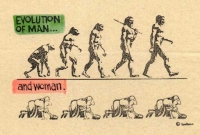 evolution homme_femme.jpg evolution homme_femme.jpg