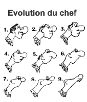 evolution_chef.jpg evolution_chef.jpg