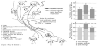SELECTION NATURELLE.jpg SELECTION NATURELLE.jpg
