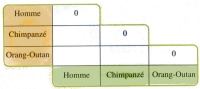 phylogeneie NAD tableau.jpg phylogeneie NAD tableau.jpg