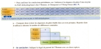 phylogeneie NAD.jpg phylogeneie NAD.jpg