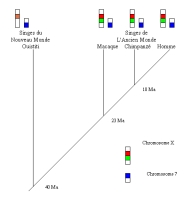 pigments visuels arbre.jpg pigments visuels arbre.jpg