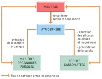 carbone reservoire flux.jpg carbone reservoire flux.jpg